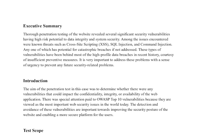 perfrom web vulnerability assessment and penetration testing